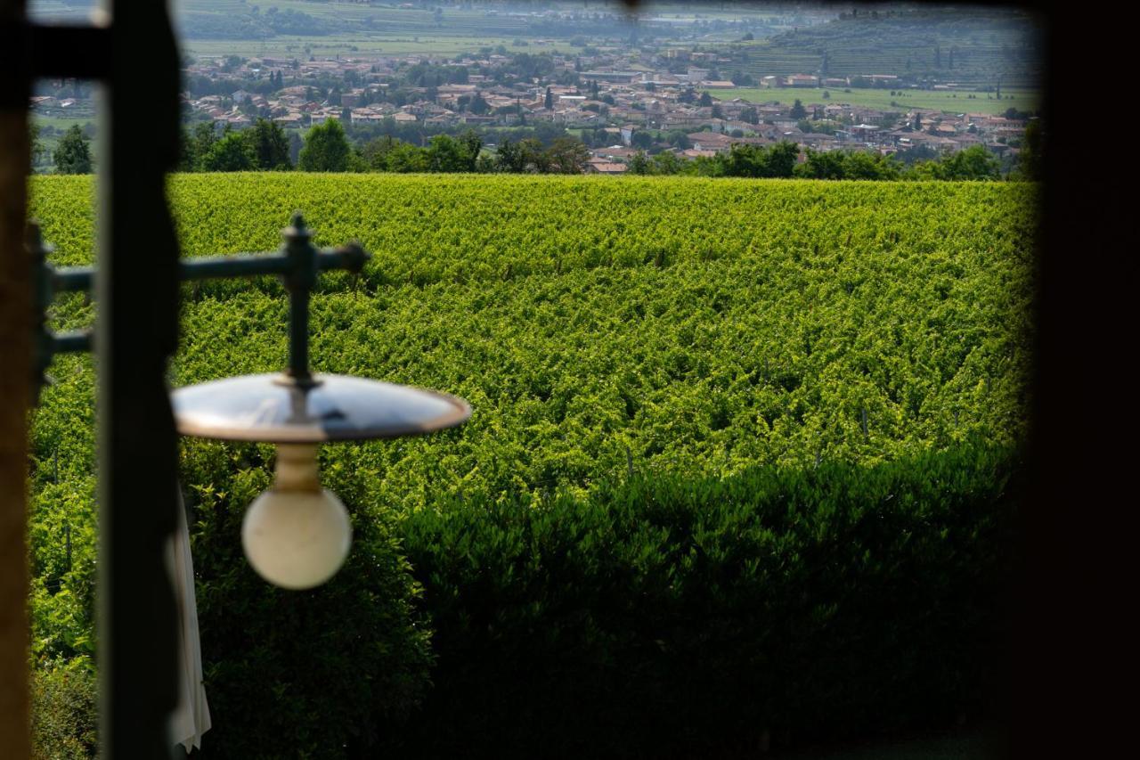 Villa Vitis Negrar Kültér fotó